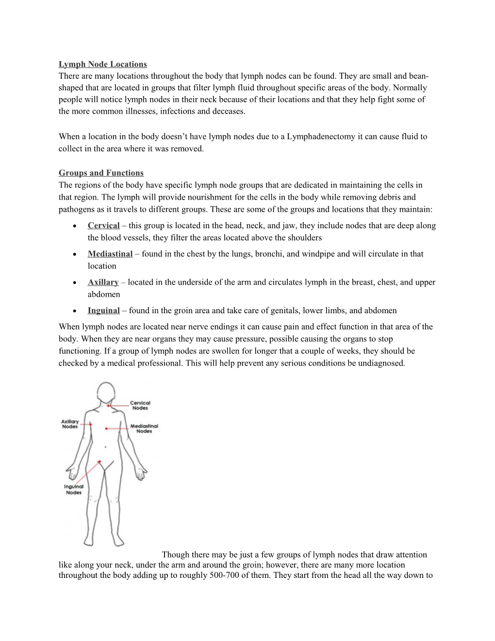 Lymph Node Locations