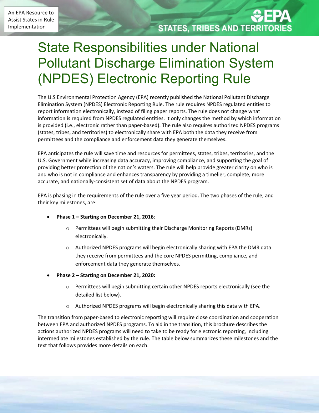 State Responsibilities Under National Pollutant Discharge Elimination System (NPDES) Electronic
