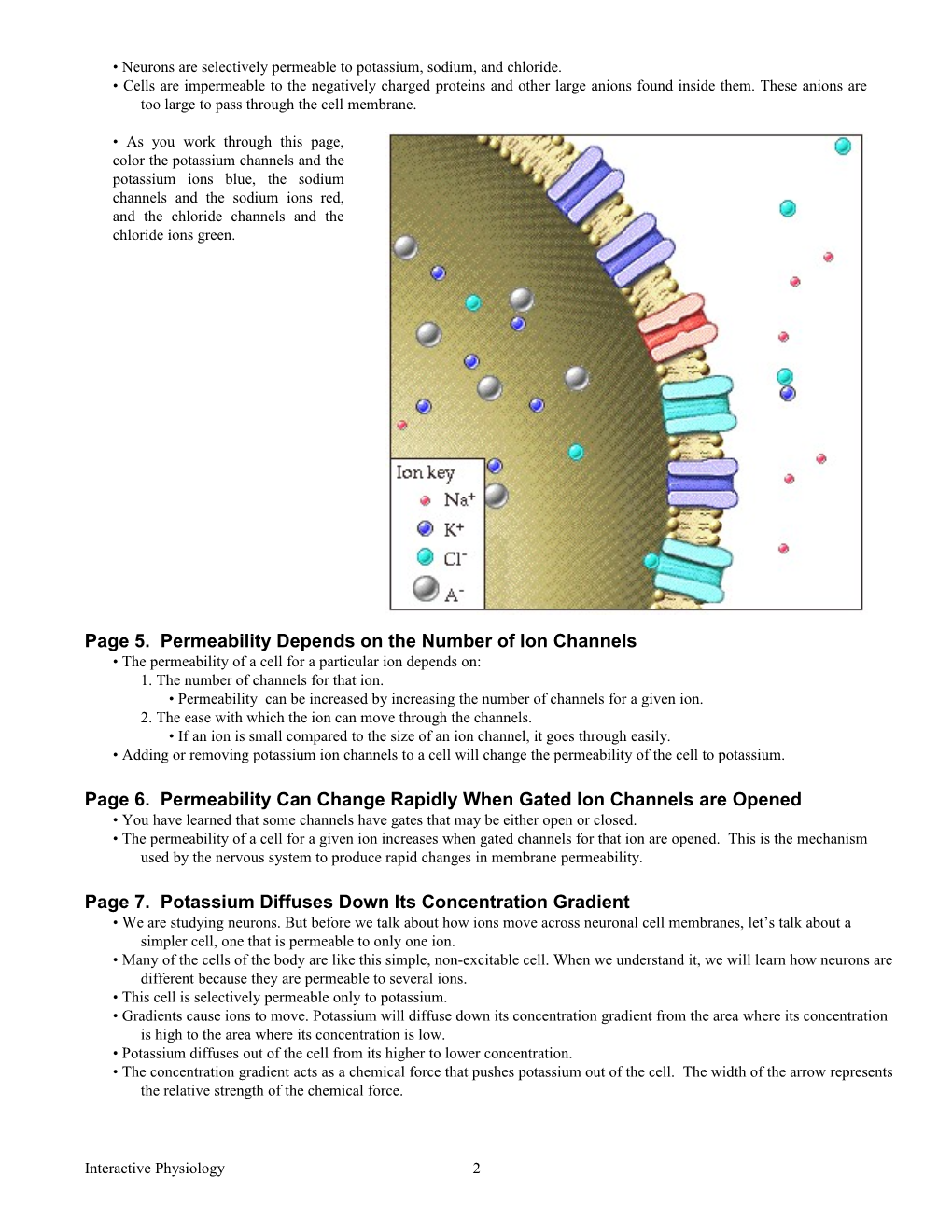 The Membrane Potential