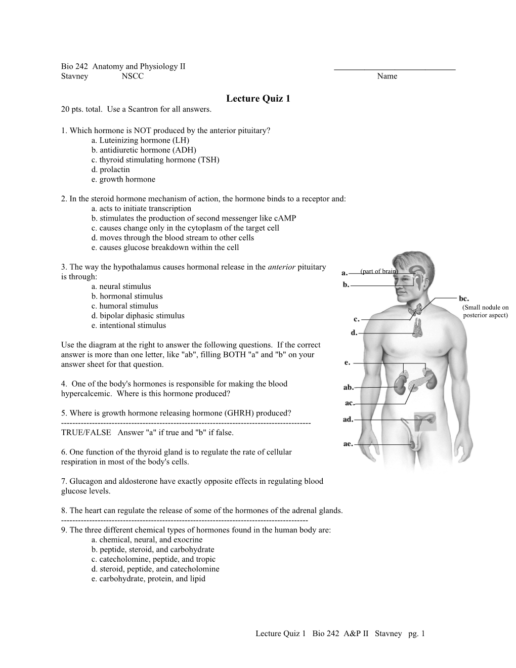 Bio 242 Anatomy and Physiology II