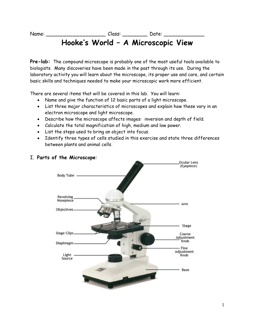 Hooke S World a Microscopic View