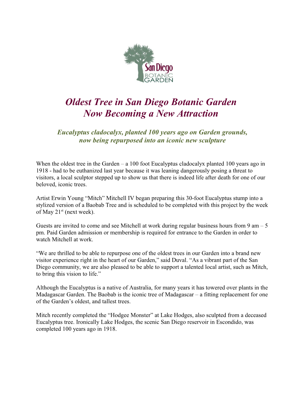 Oldest Tree in San Diego Botanic Garden