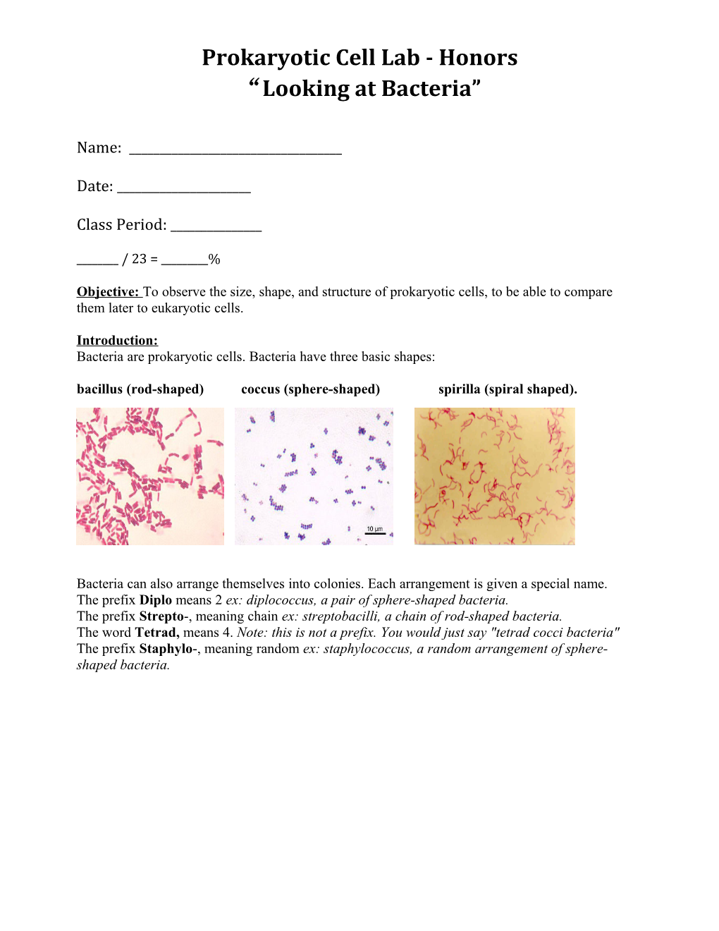Prokaryotic Cell Lab - Honors