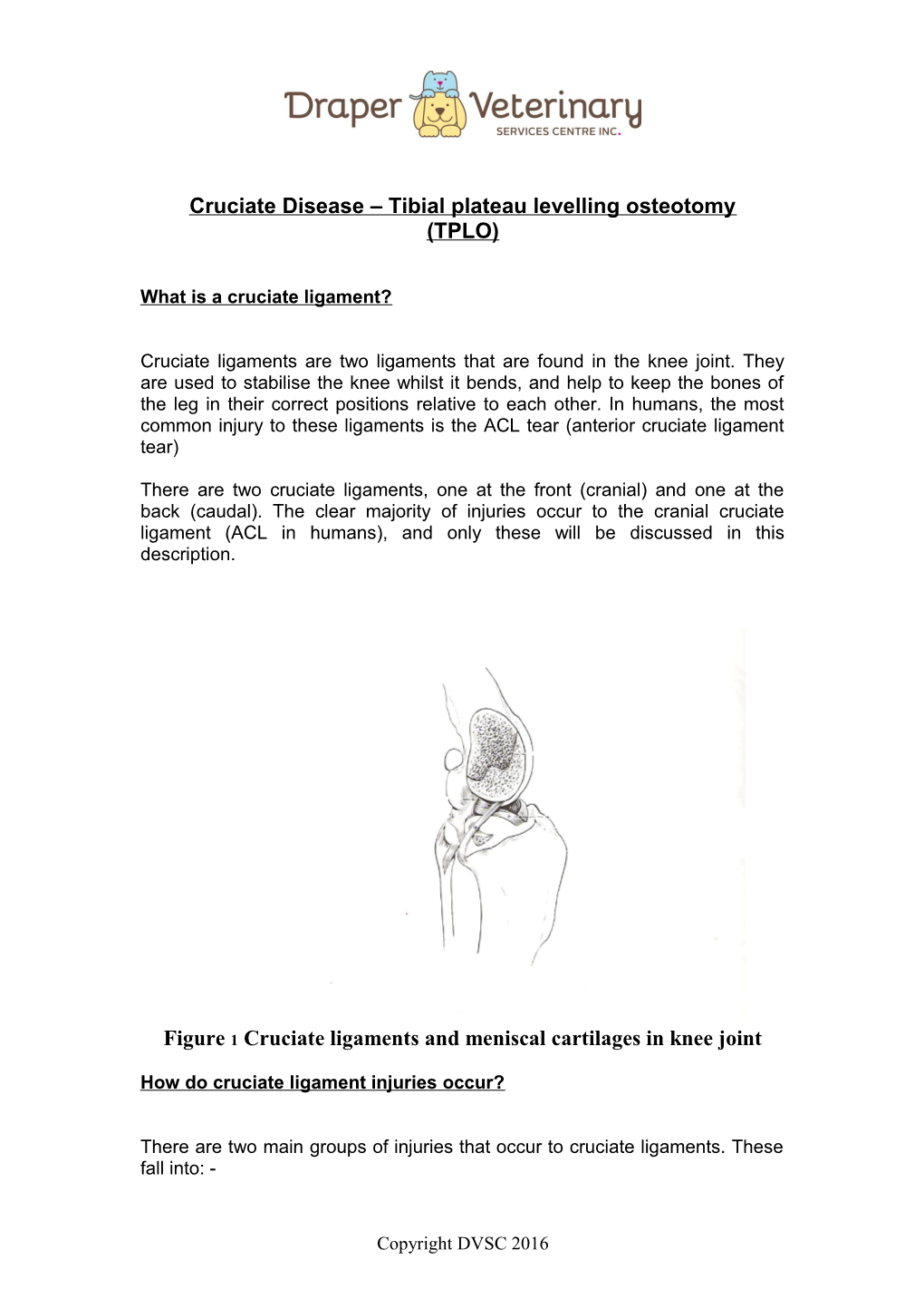 Cruciate Disease Tibial Plateau Levelling Osteotomy