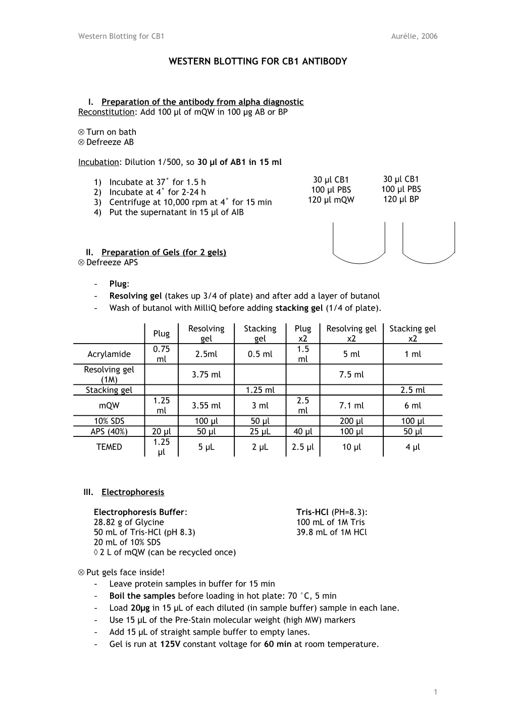 Western Blotting for CB1 Antibody