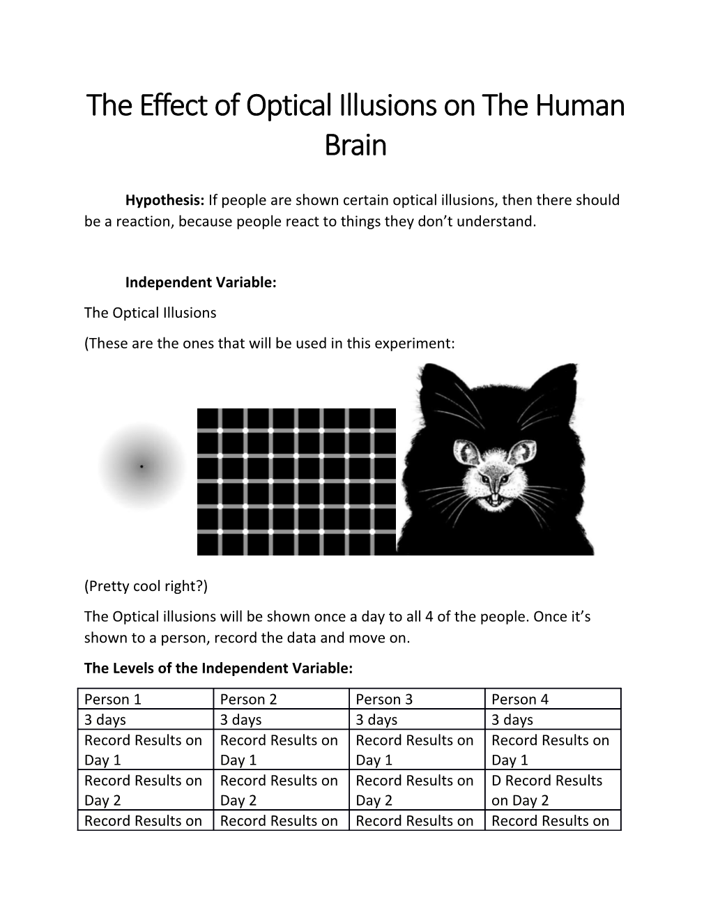The Effect of Optical Illusions on the Human Brain