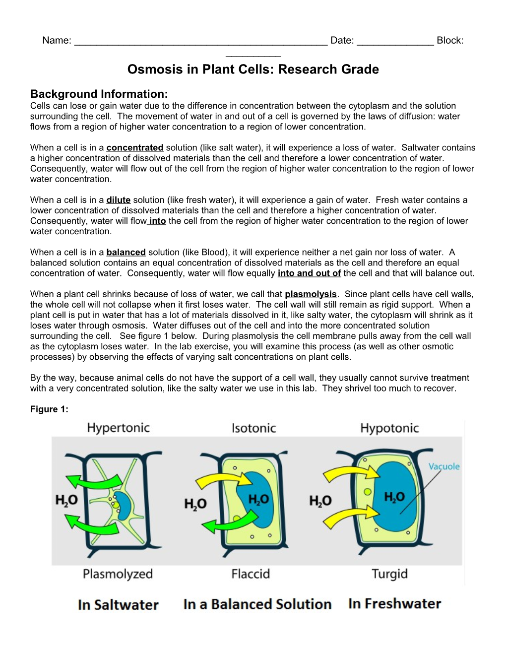 Osmosis in Plant Cells: Research Grade