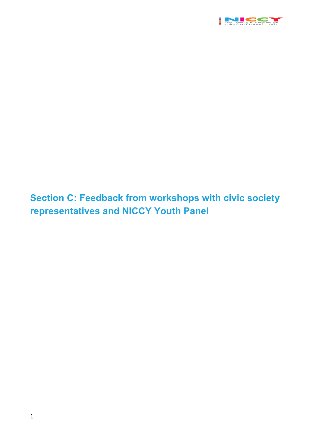 Section C: Feedback from Workshops with Civic Society Representatives and NICCY Youth Panel