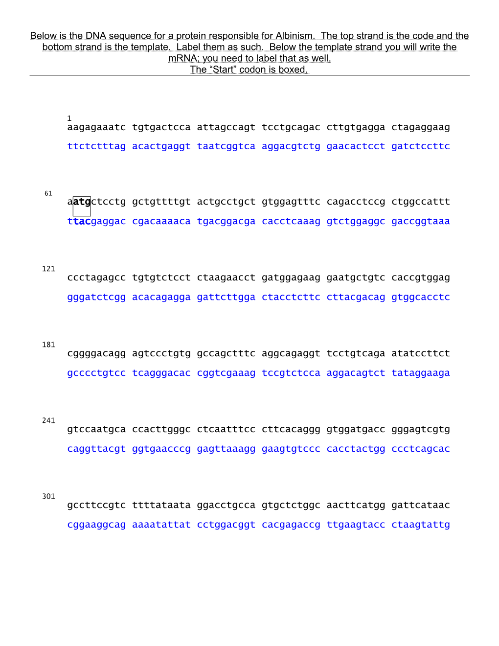 Below Is the DNA Sequence for a Protein Responsible for Albinism