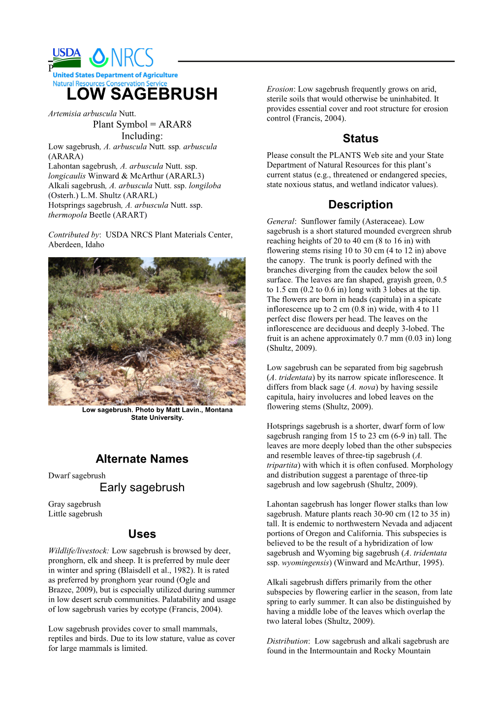 Plant Guide for Low Sagebrush (Artemisia Arbuscula)