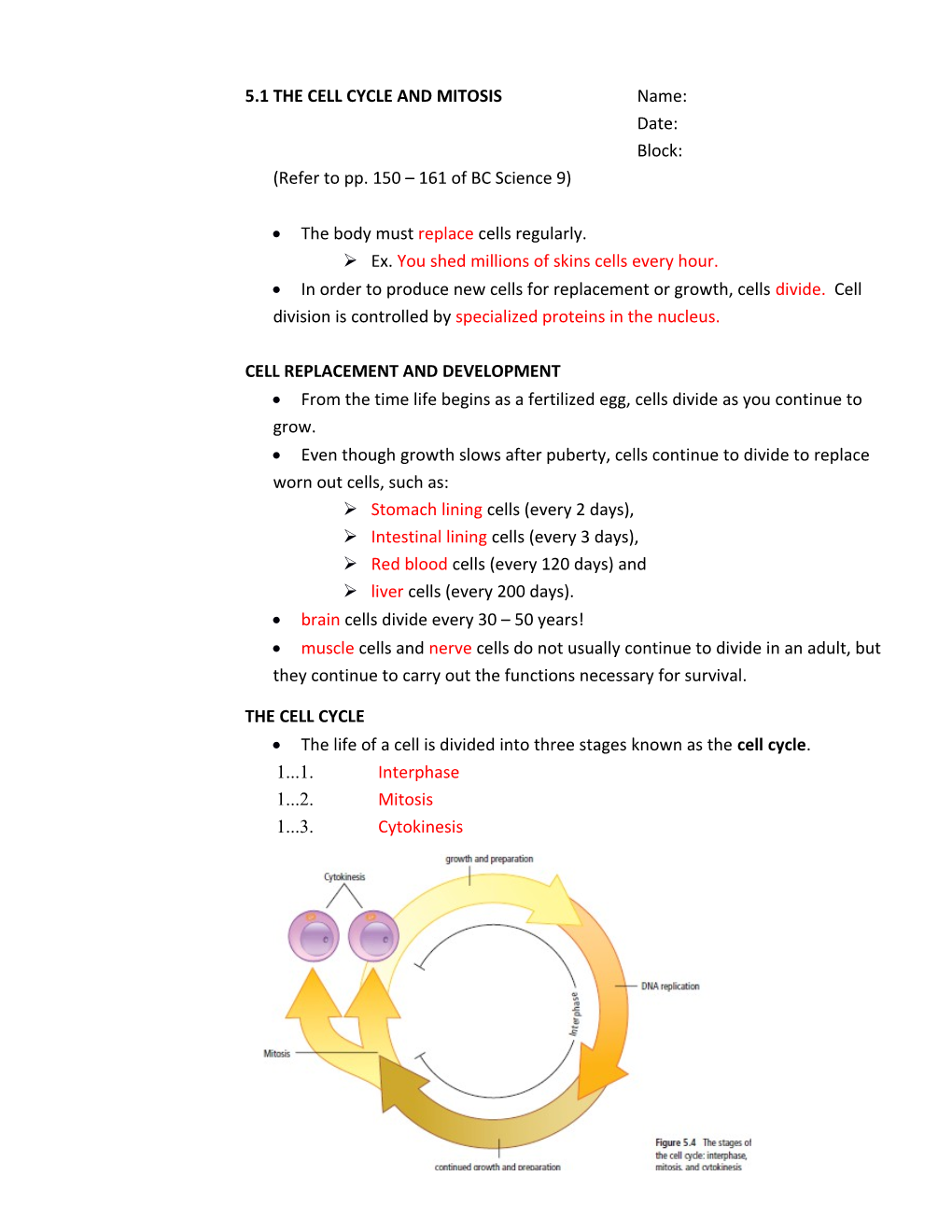 5.1 the CELL CYCLE and MITOSIS Name