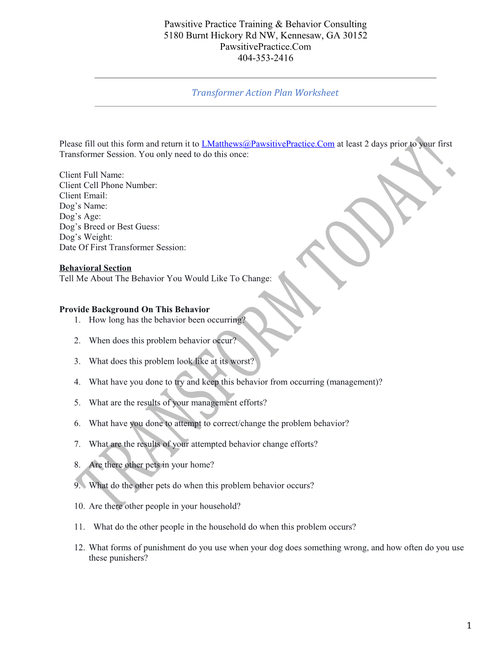 Transformer Action Plan Worksheet