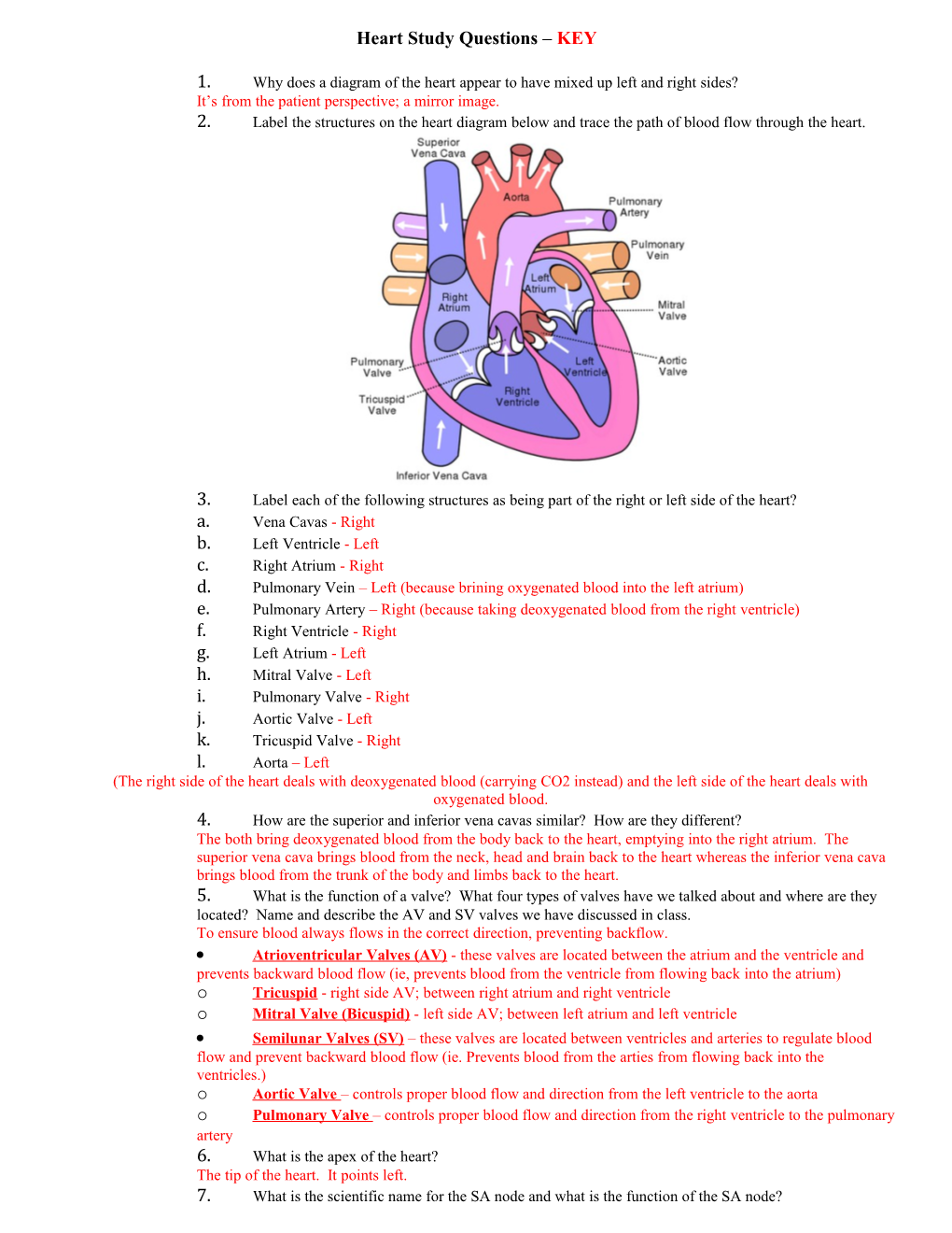 Heart Study Questions KEY