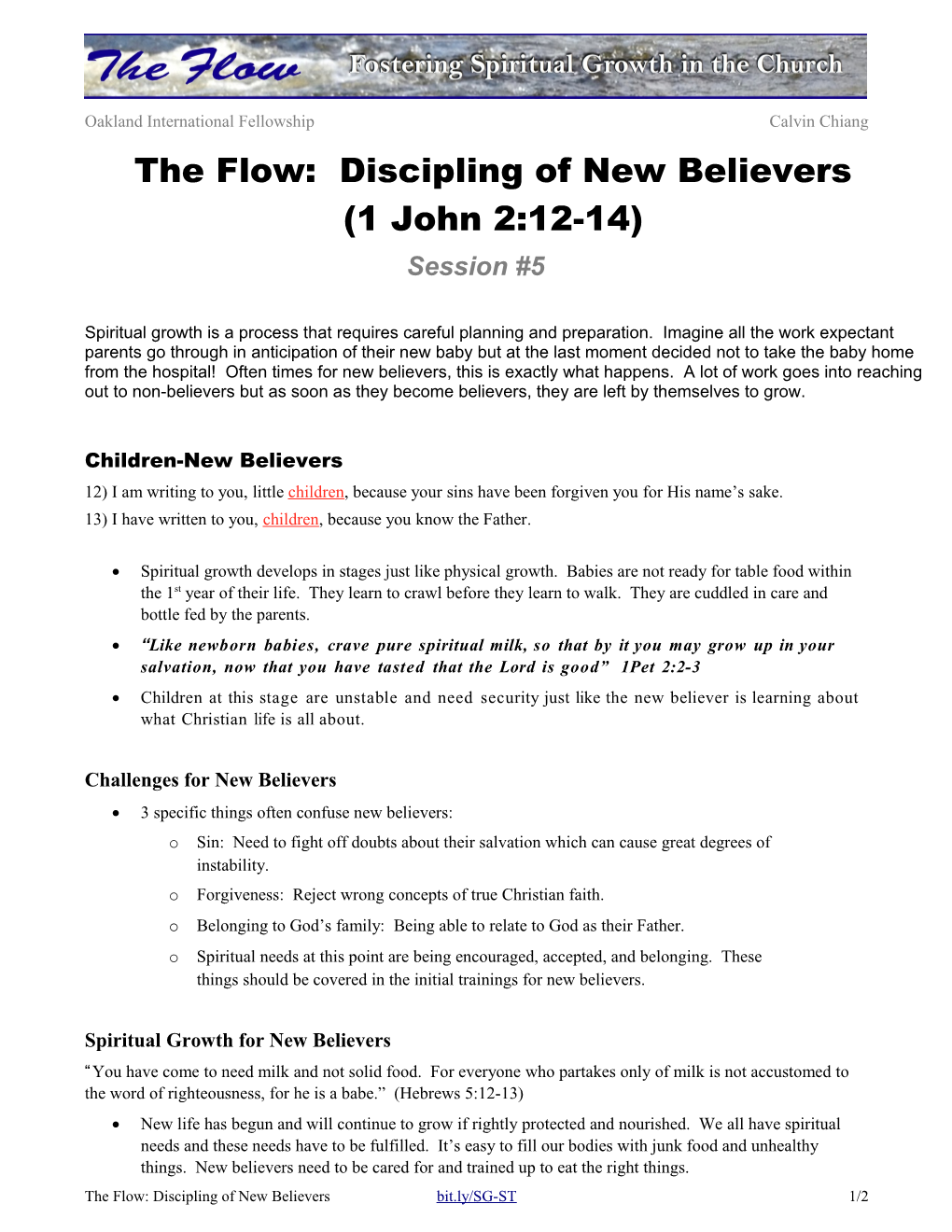 The Flow: Discipling of New Believers (1 John 2:12-14)