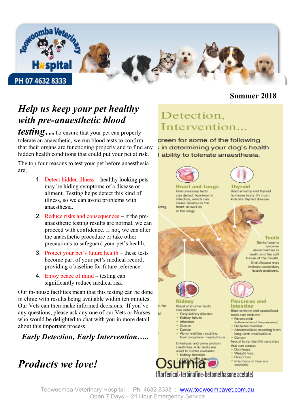 The Top Four Reasons to Test Your Pet Before Anaesthesia Are;