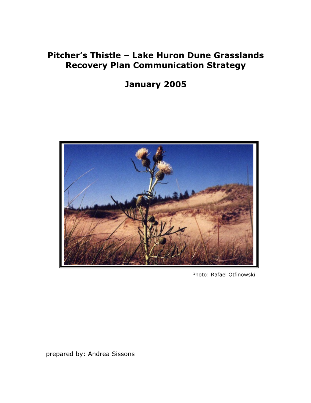 Pitcher S Thistle Lake Huron Dune Grasslands Recovery Plan Communication Strategy
