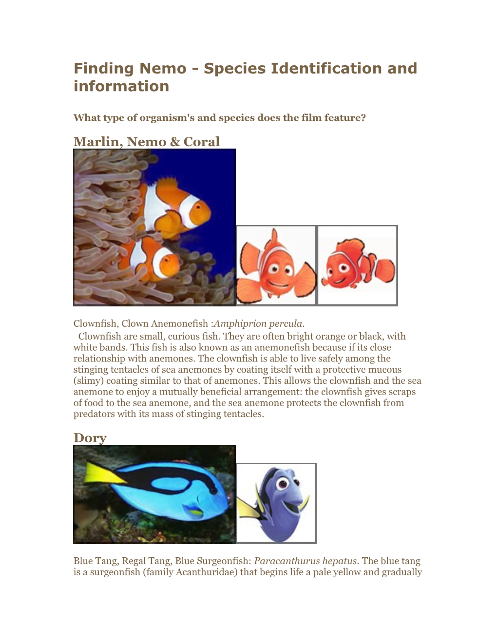 Finding Nemo - Species Identification and Information