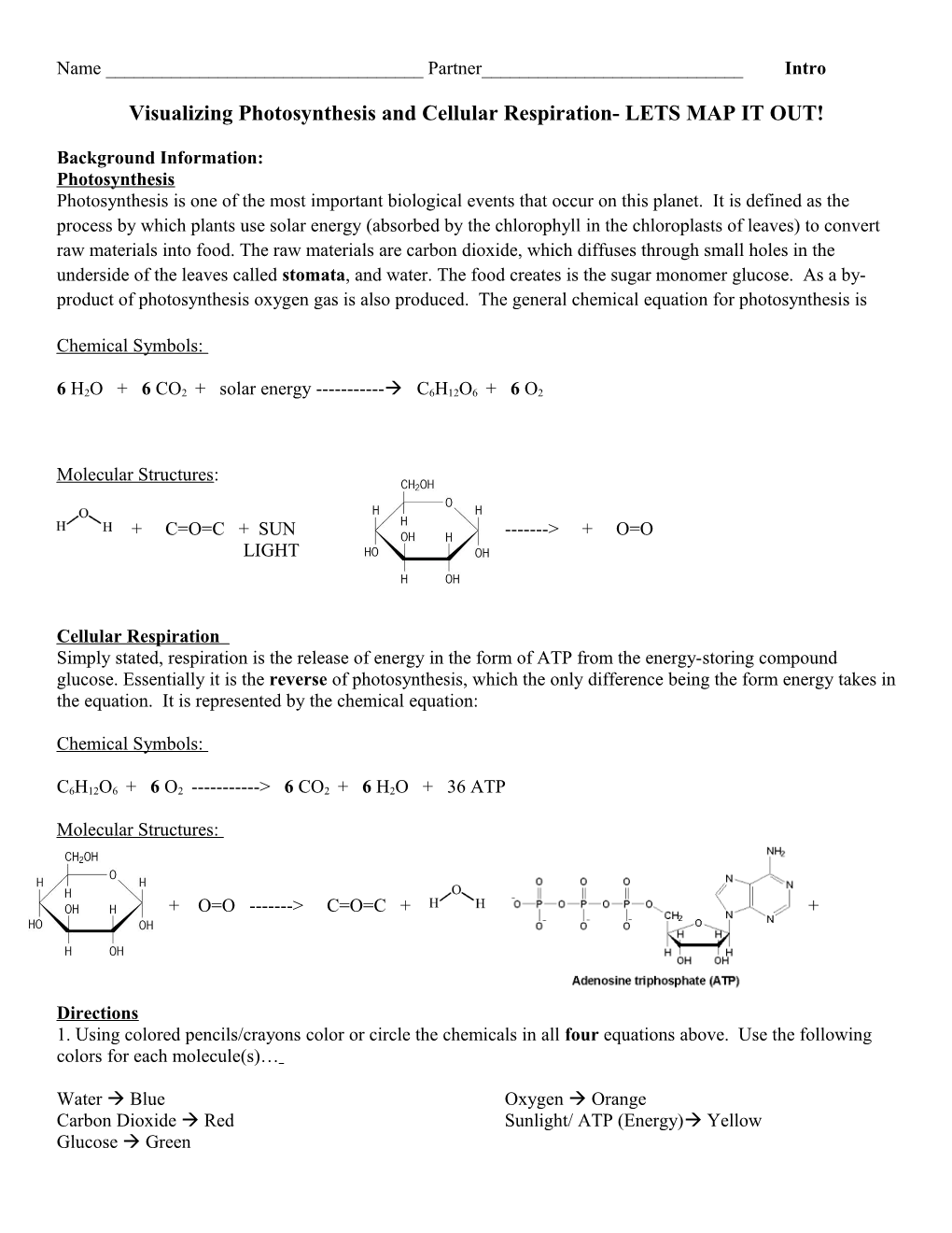 Visualizing Photosynthesis and Cellular Respiration- LETS MAP IT OUT!