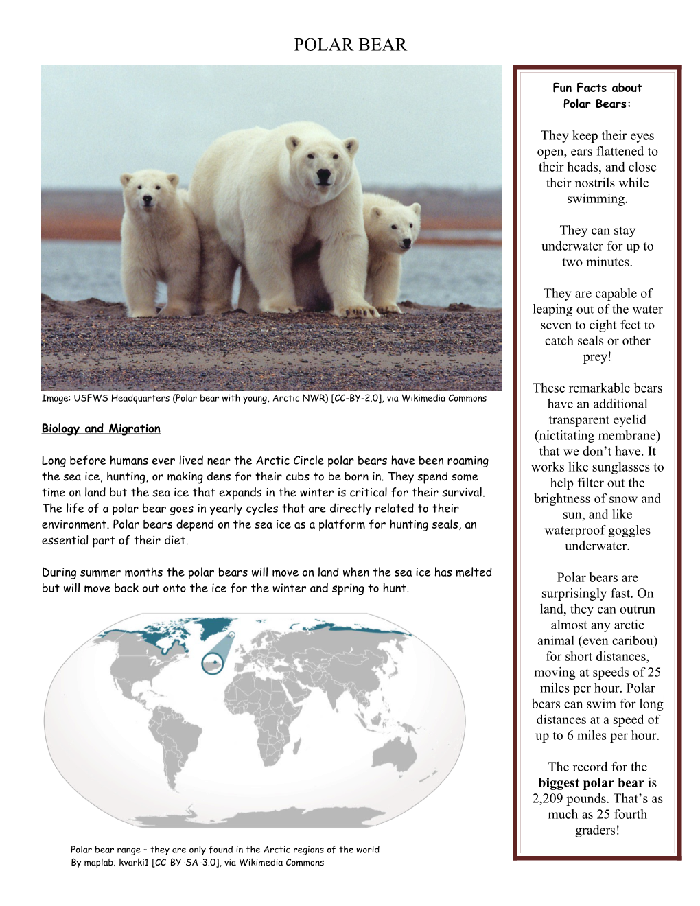 Image: USFWS Headquarters (Polar Bear with Young, Arctic NWR) CC-BY-2.0 , Via Wikimedia Commons
