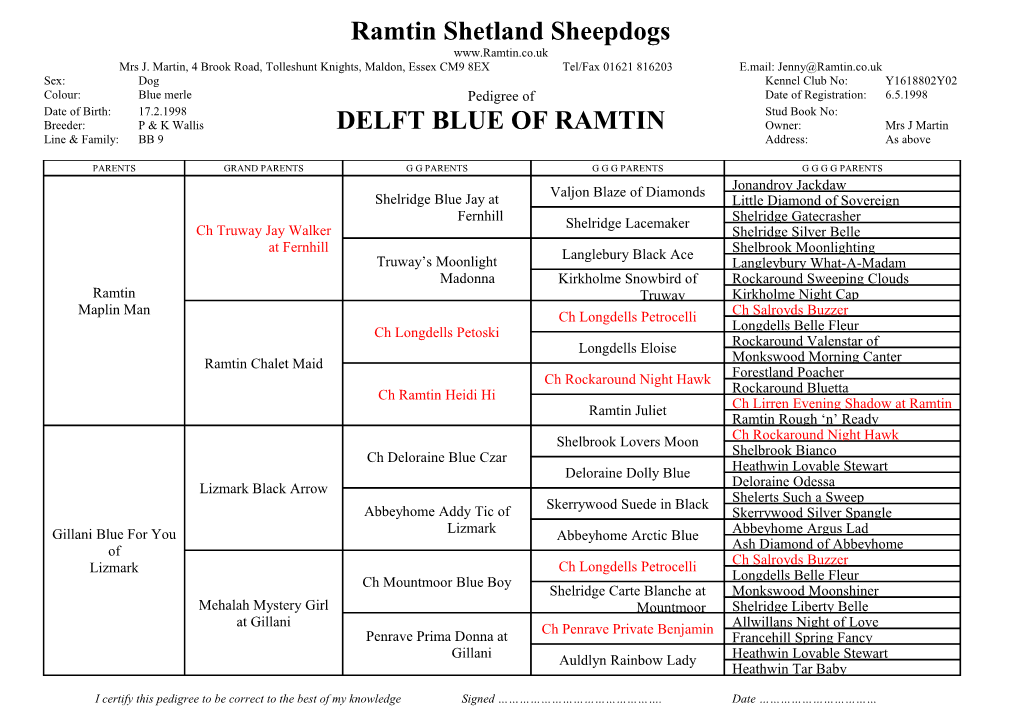 Ramtin Shetland Sheepdogs