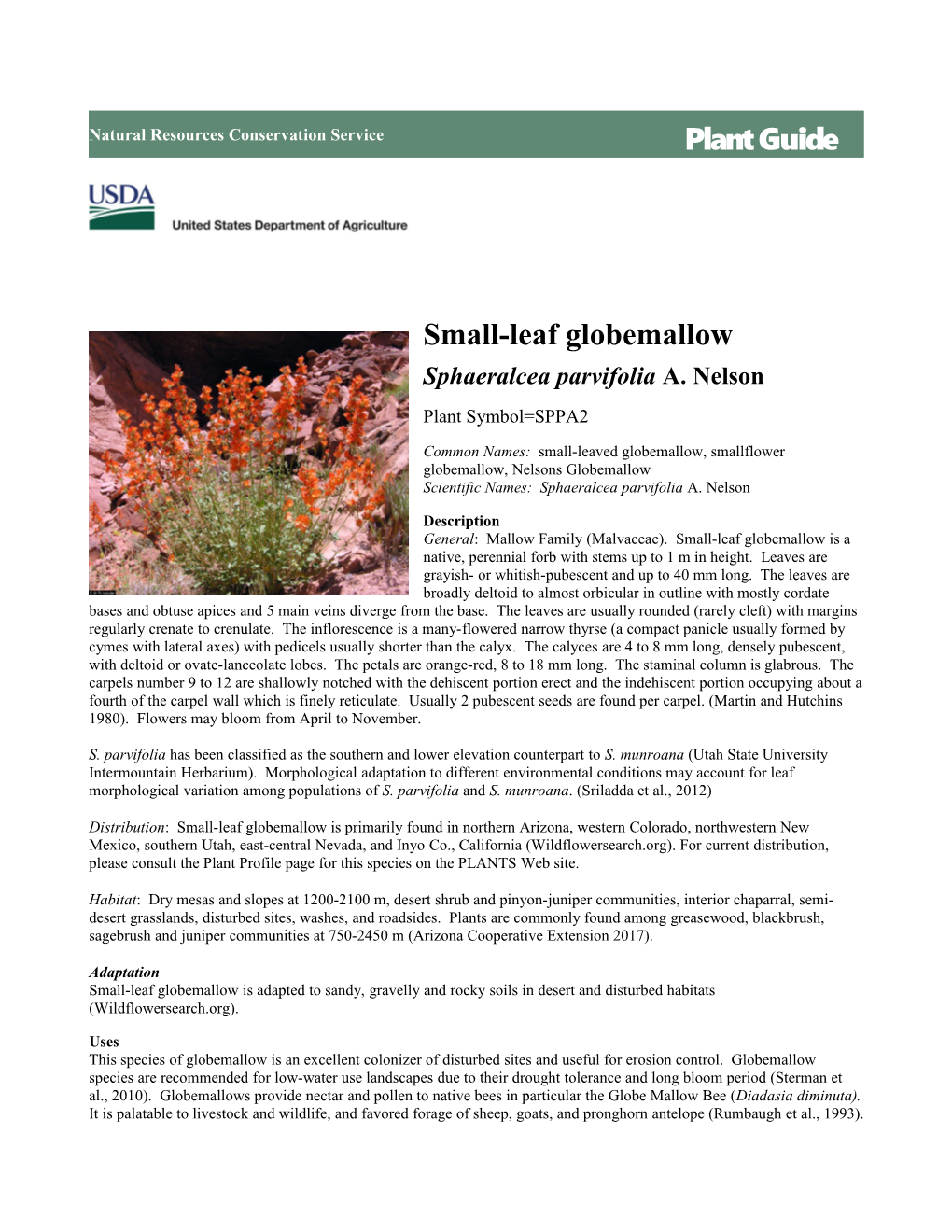 Small-Leaf Globemallow (Sphaeralcea Parvifolia A. Nelson) Plant Guide
