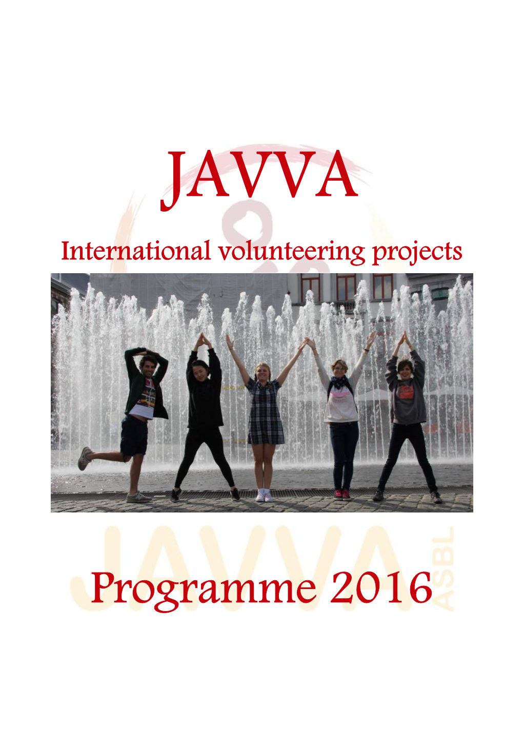 International Volunteering Projects