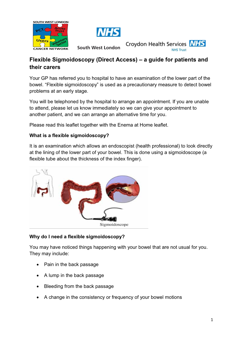 Flexible Sigmoidoscopy (Direct Access) a Guide for Patients and Their Carers