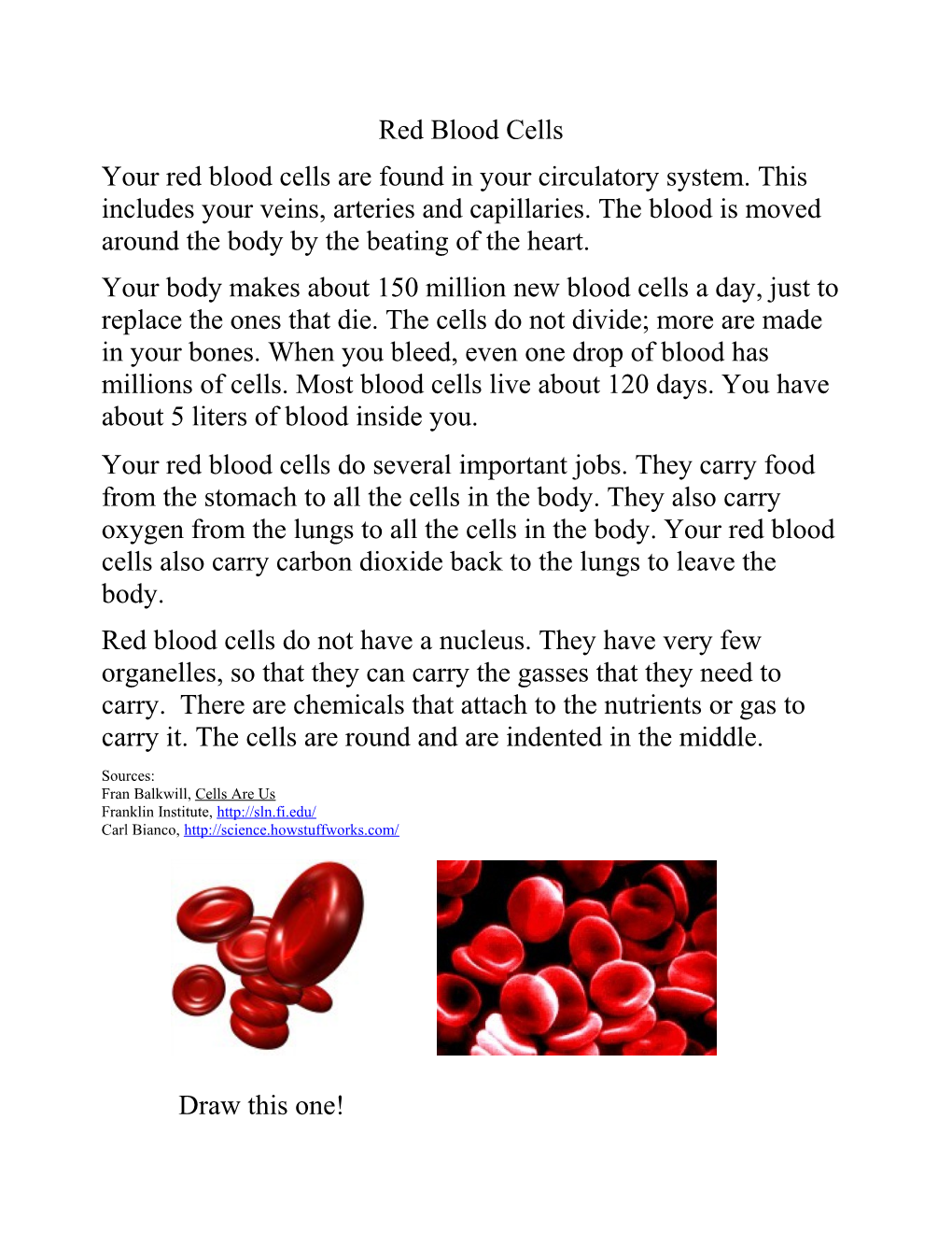 Red Blood Cells