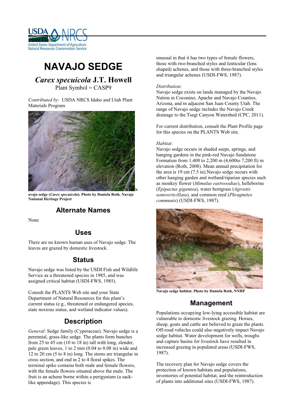 Plant Guide For Navajo Sedge (Carex Specuicola)