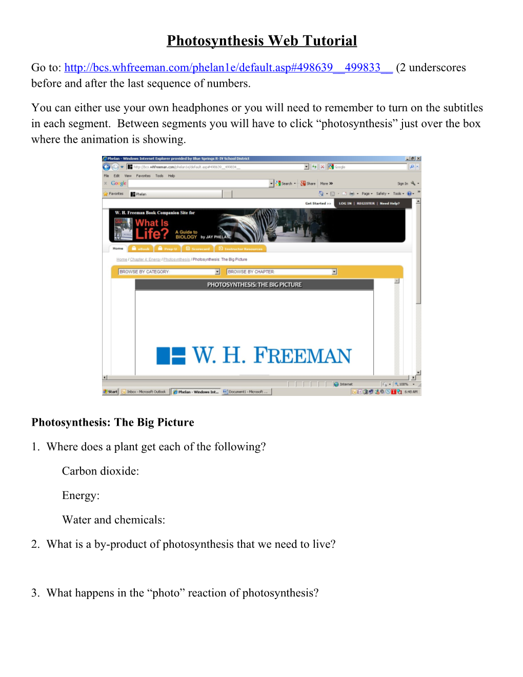 Photosynthesis Web Tutorial