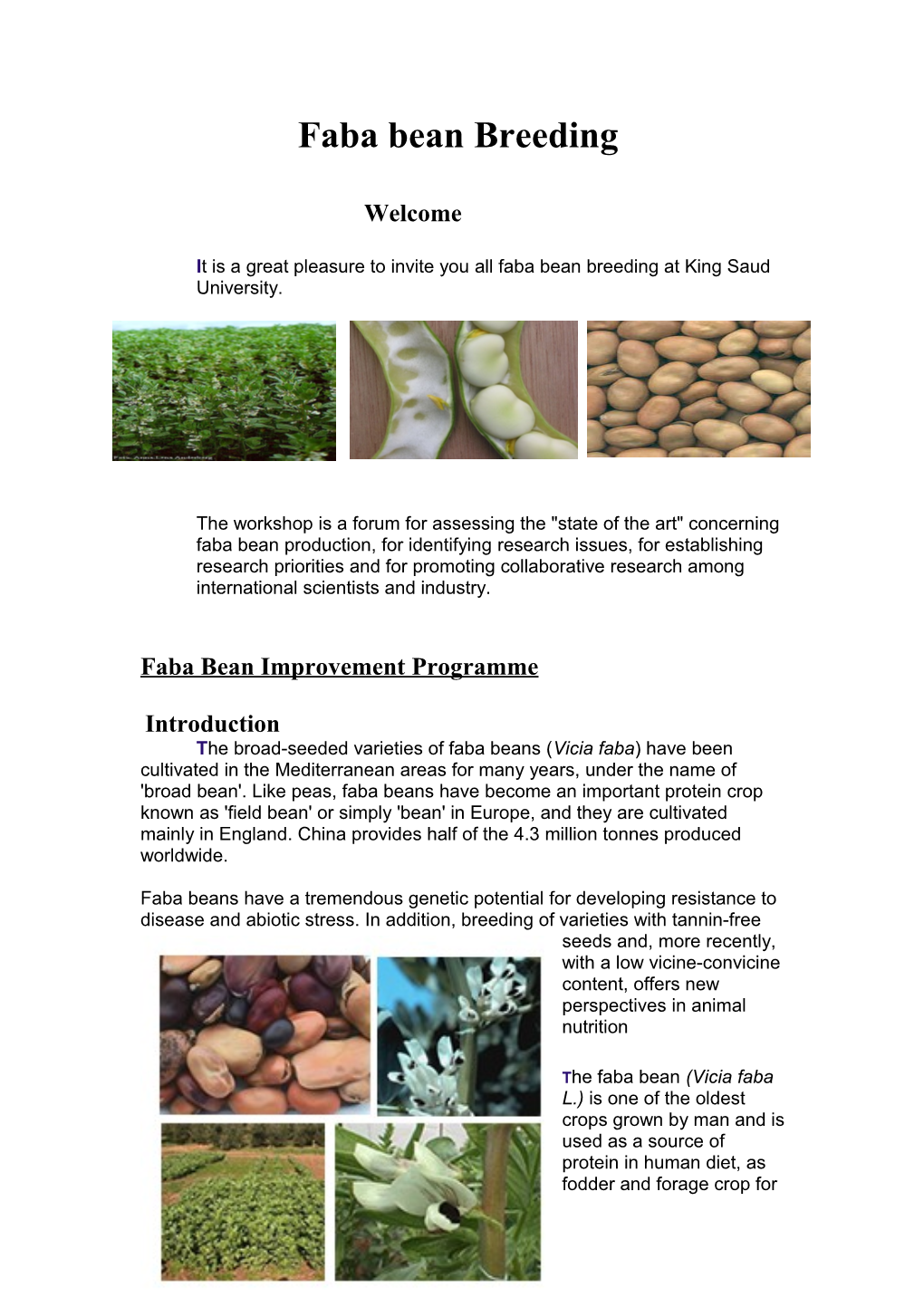 The Faba Bean (Vicia Faba L