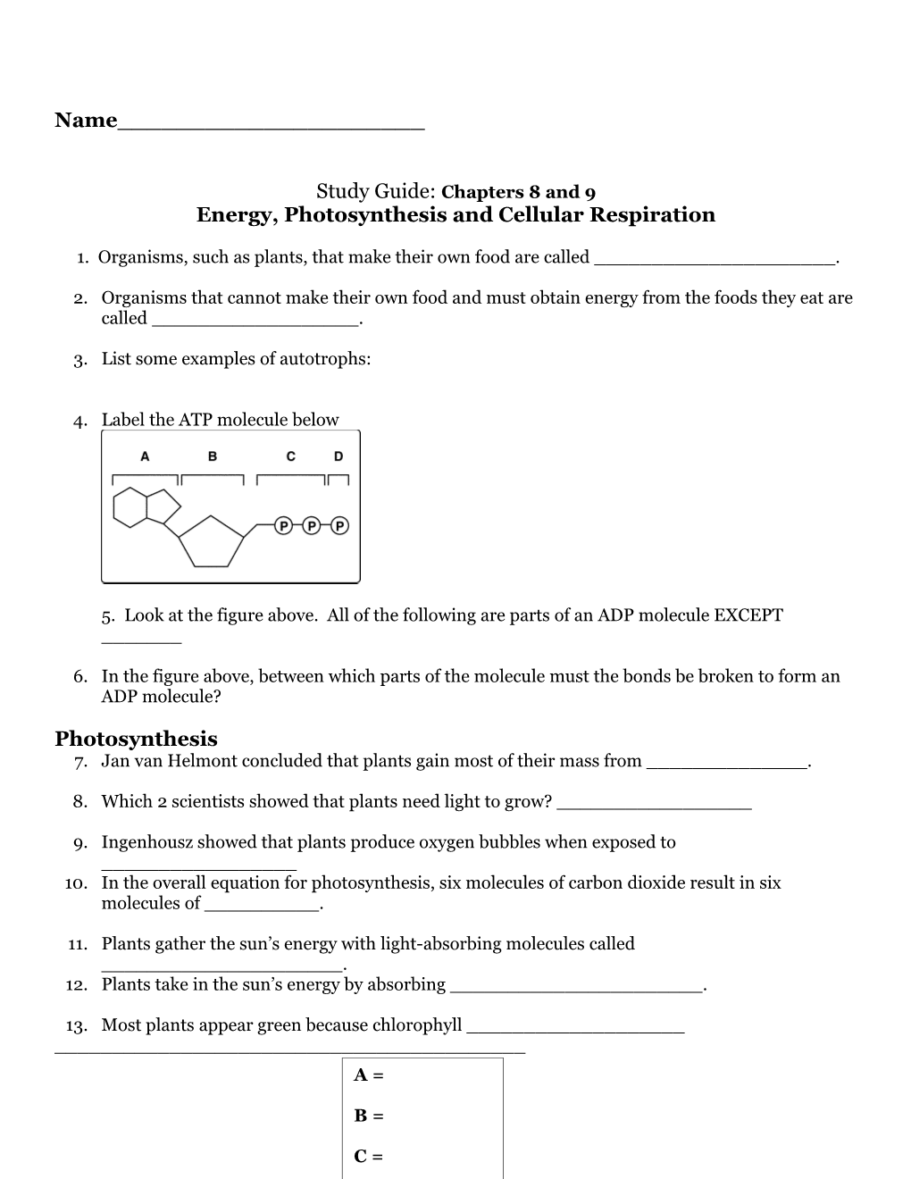 Test: Photosynthesis And Cellular Respiration