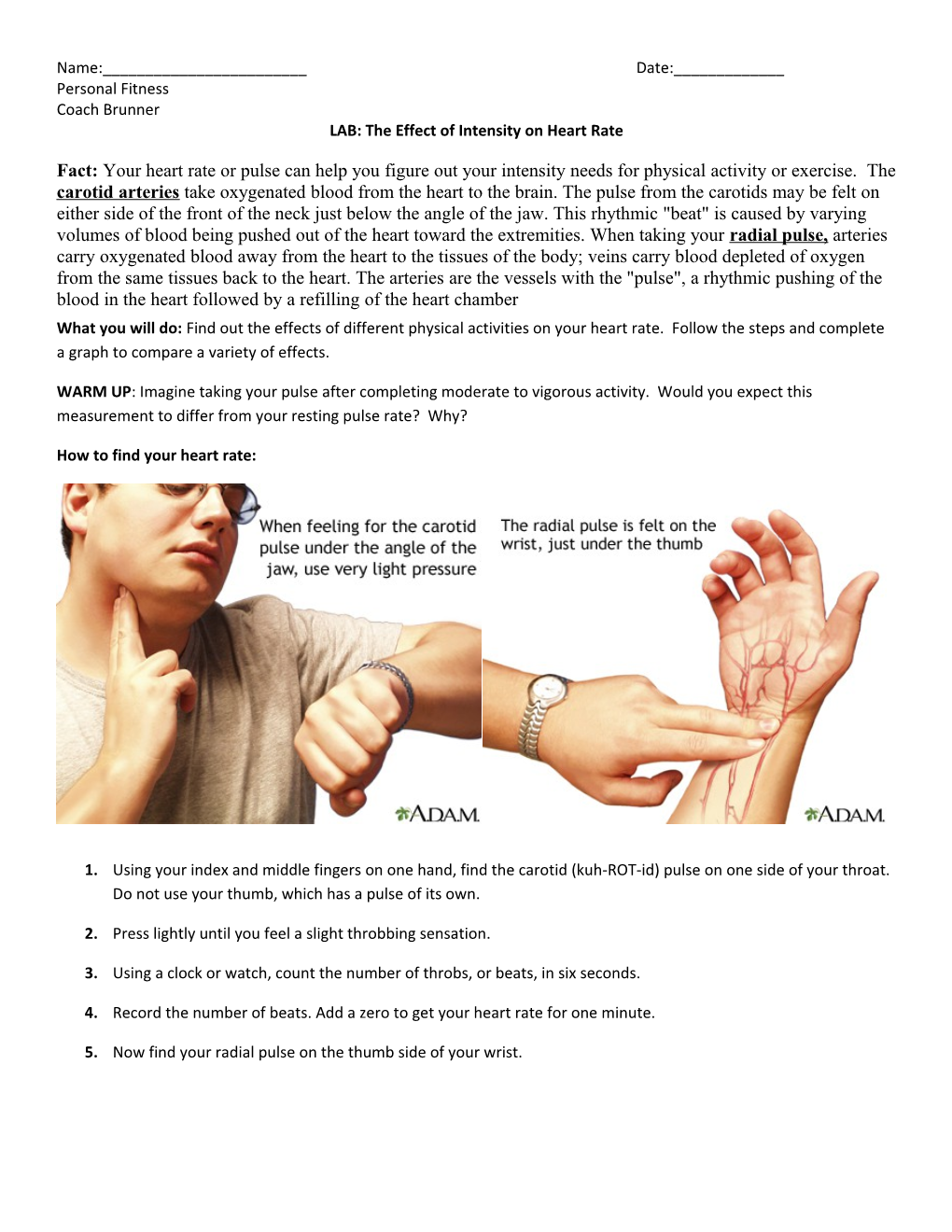 LAB: the Effect of Intensity on Heart Rate