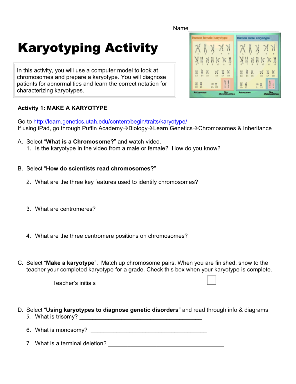 Karyotyping Activity