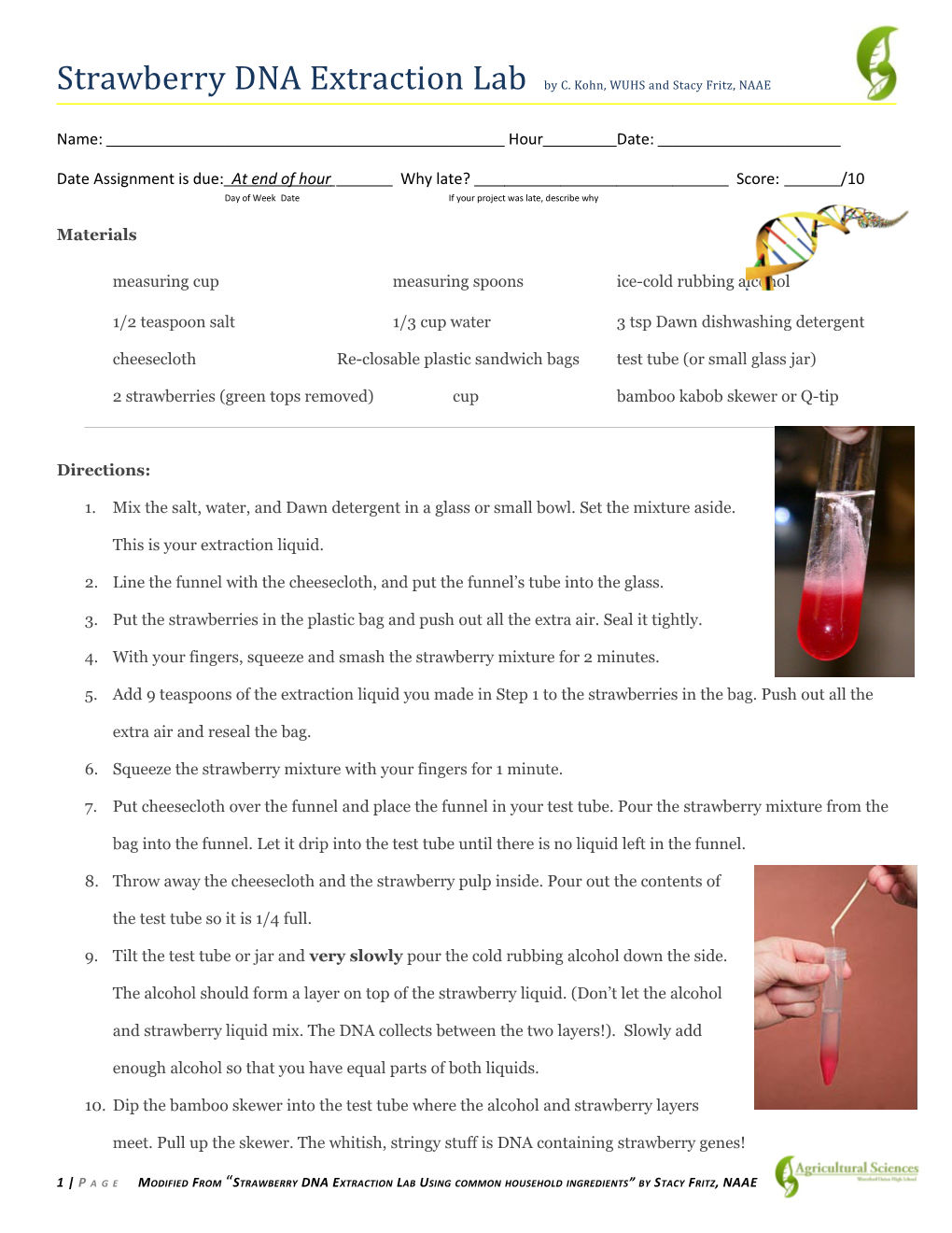 Strawberry DNA Extraction Lab by C. Kohn, WUHS and Stacy Fritz, NAAE