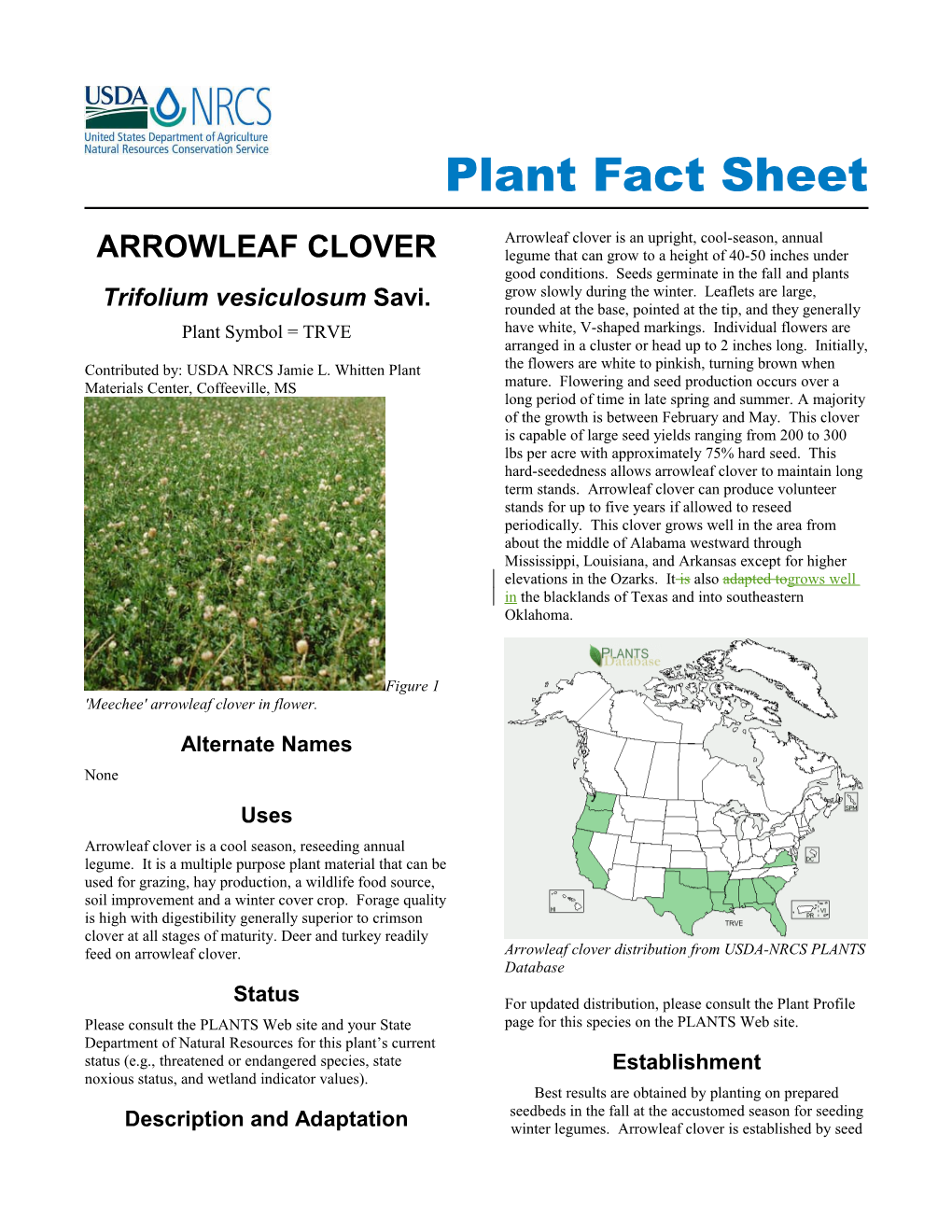Arrowleaf Clover (Trifolium Vesiculosum) Plant Fact Sheet