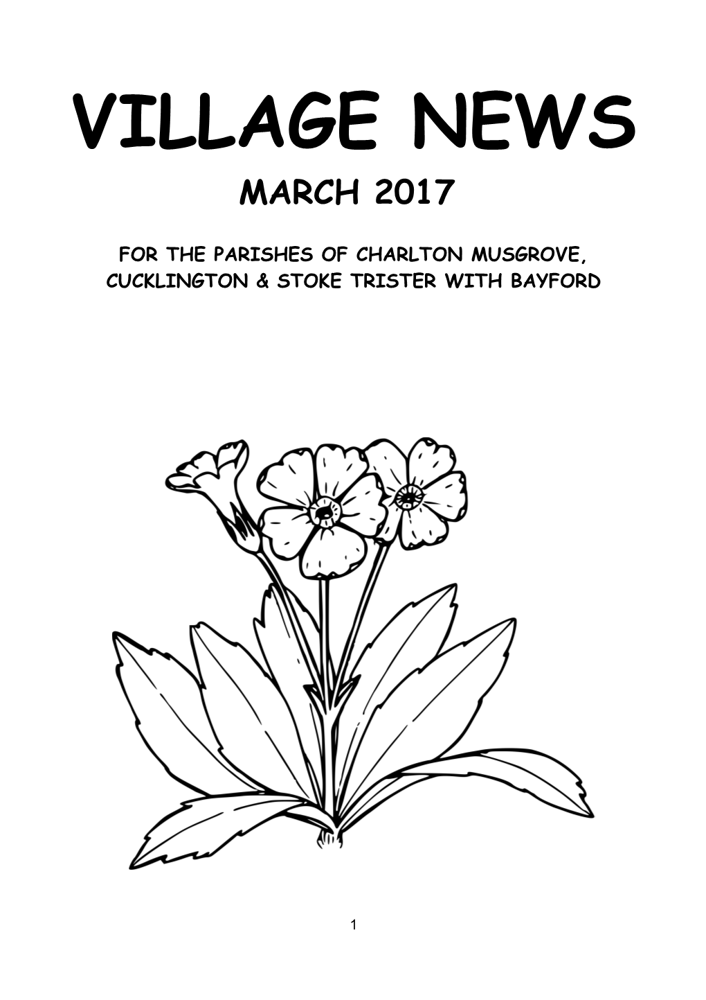 For the Parishes of Charlton Musgrove, Cucklington & Stoke Trister with Bayford