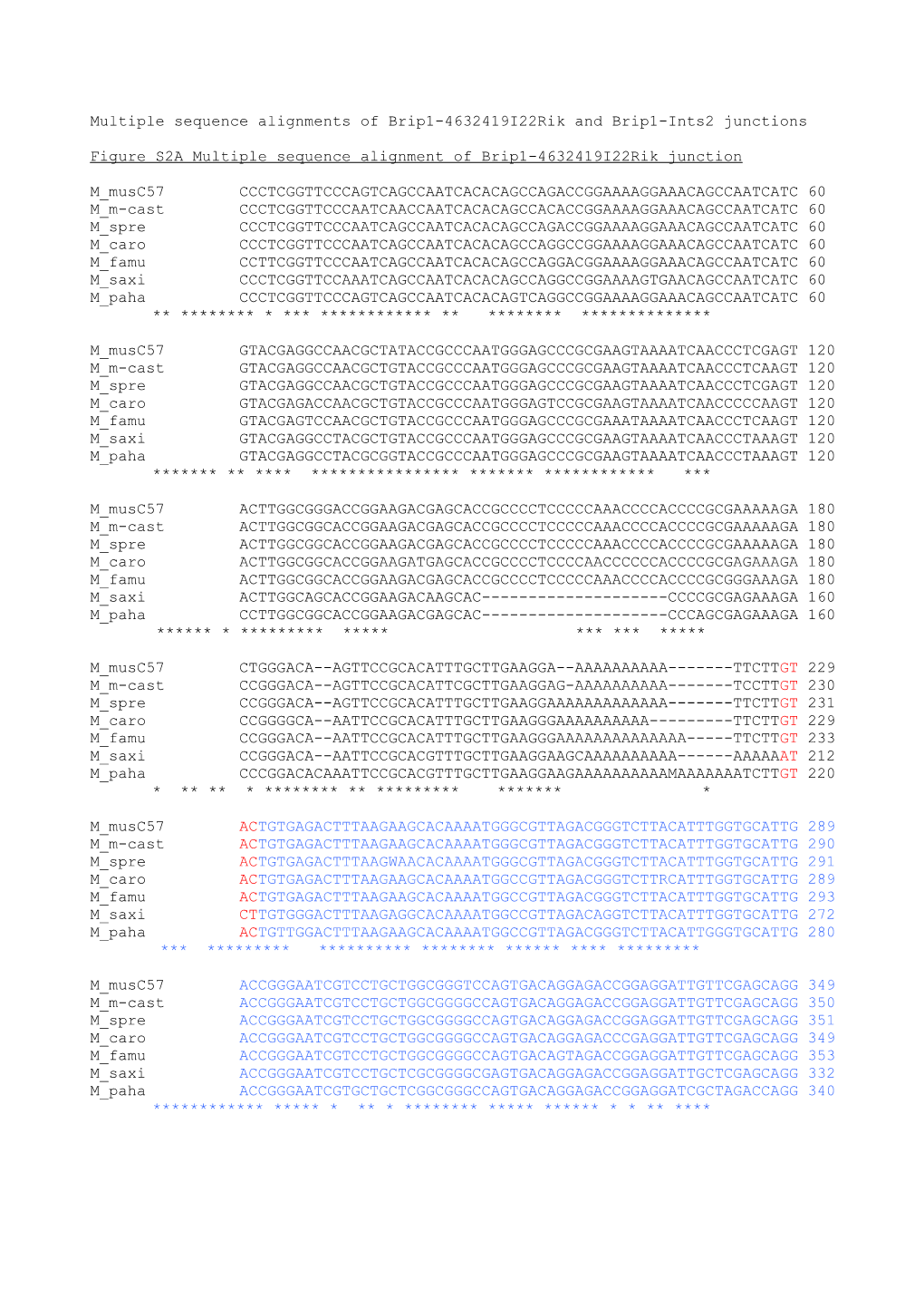 Multiple Sequence Alignments of Brip1-4632419I22rik and Brip1-Ints2 Junctions