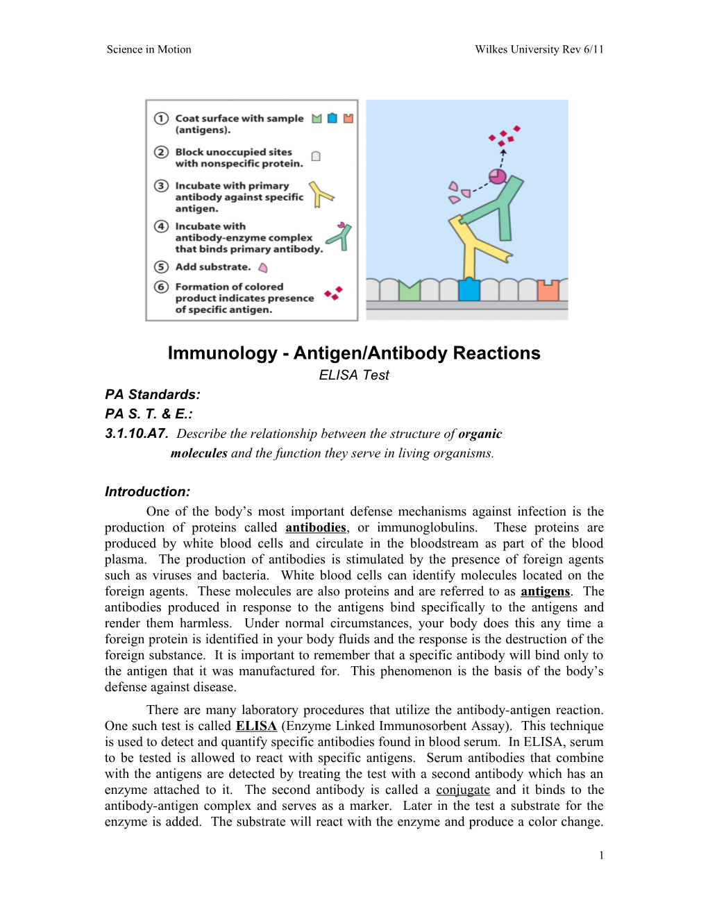 Immunology - Antigen/Antibody Reactions