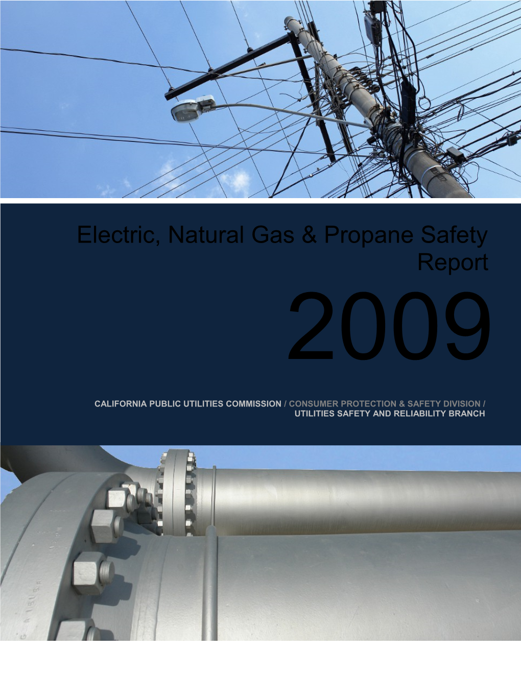 2009 Electric, Natural Gas & Propane