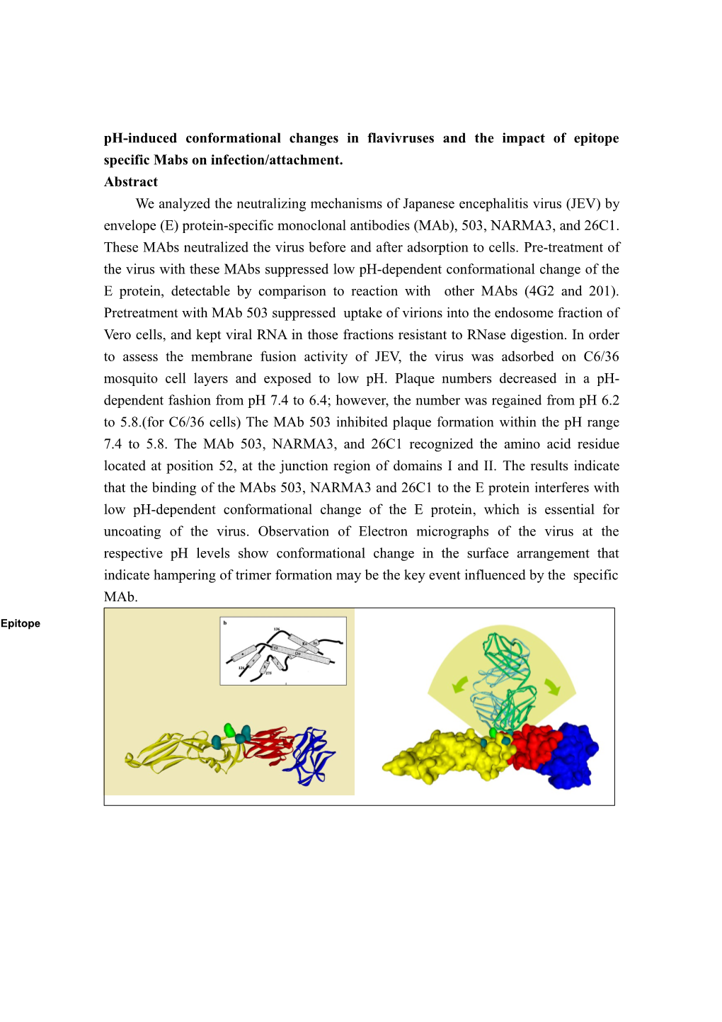 Ph-Induced Conformational Changes in Flavivruses and the Impact of Epitope Specific Mabs