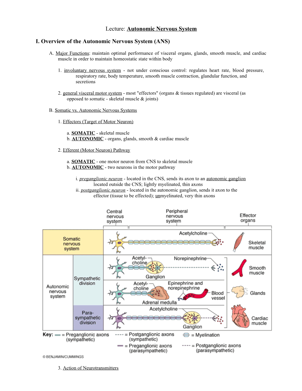 I. Overview of the Autonomic Nervous System (ANS)