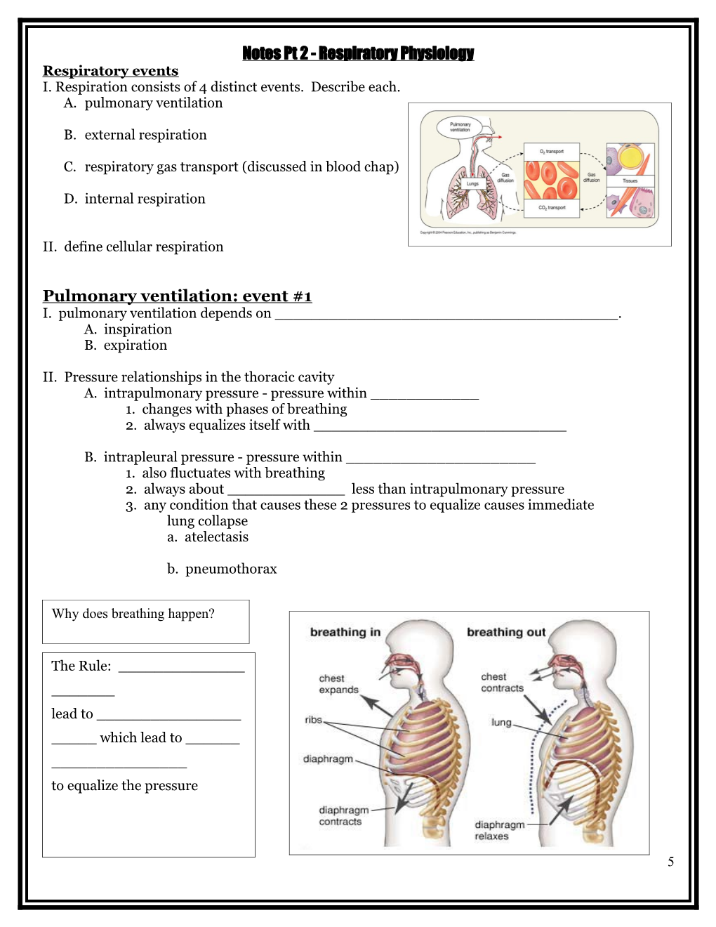 Notes Pt 2 - Respiratory Physiology