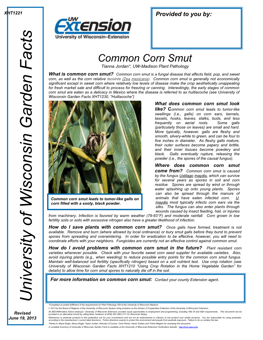Common Corn Smut Tianna Jordan*, UW-Madison Plant Pathology