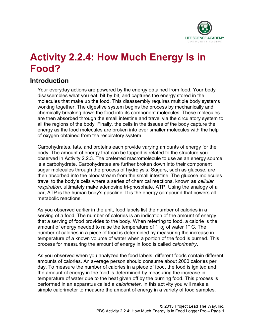 A2.2.4.How Much Energy Food Logger Prof