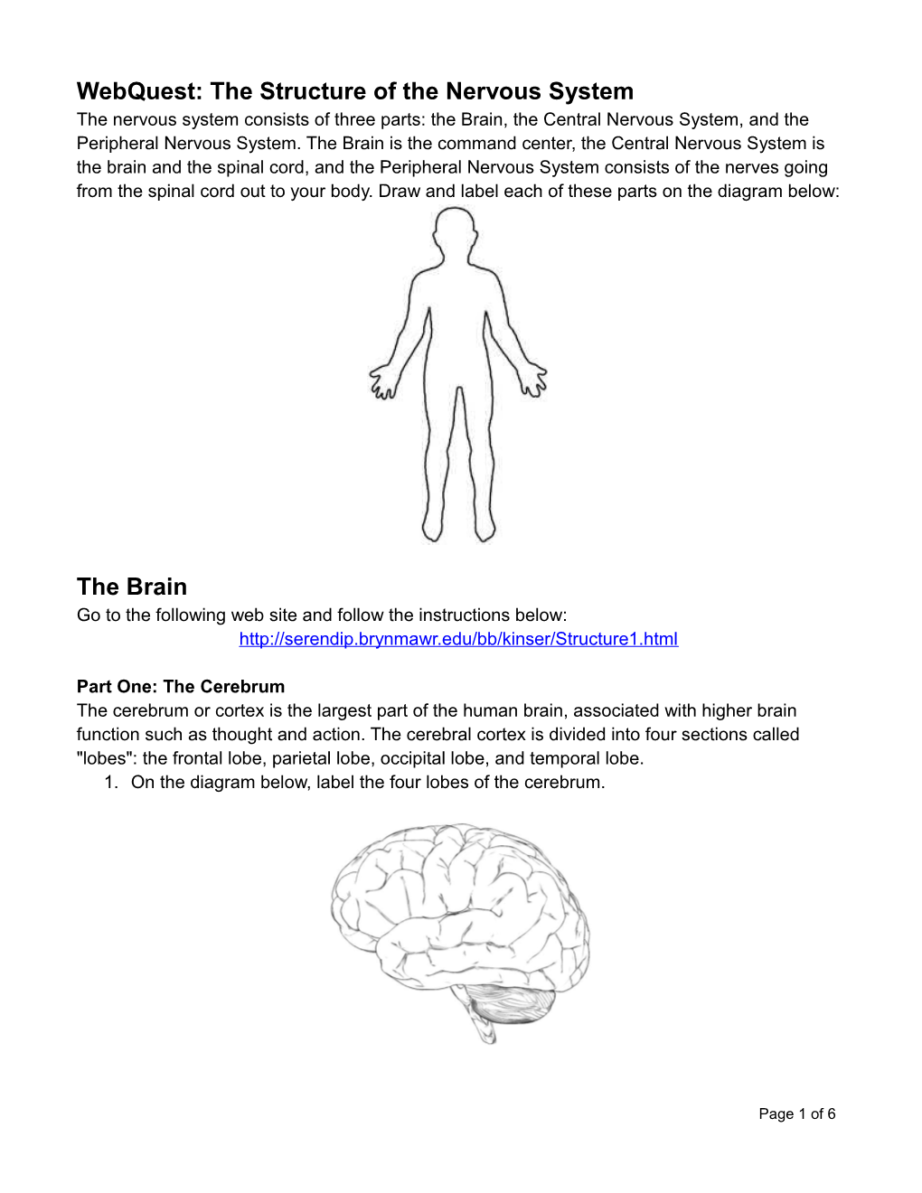 The Structure of the Nervous System