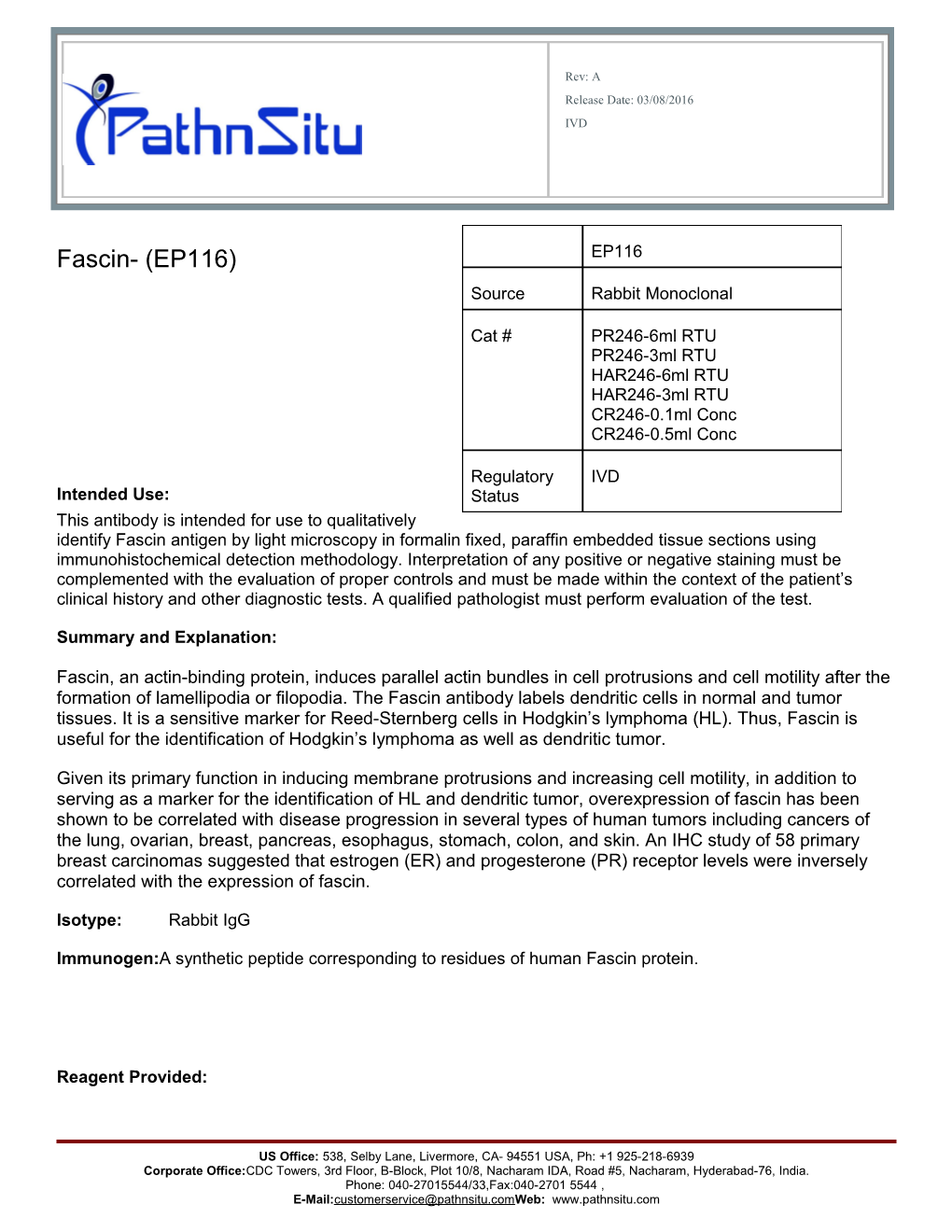 This Antibody Is Intended for Use to Qualitatively Identify Fascin Antigen by Light Microscopy