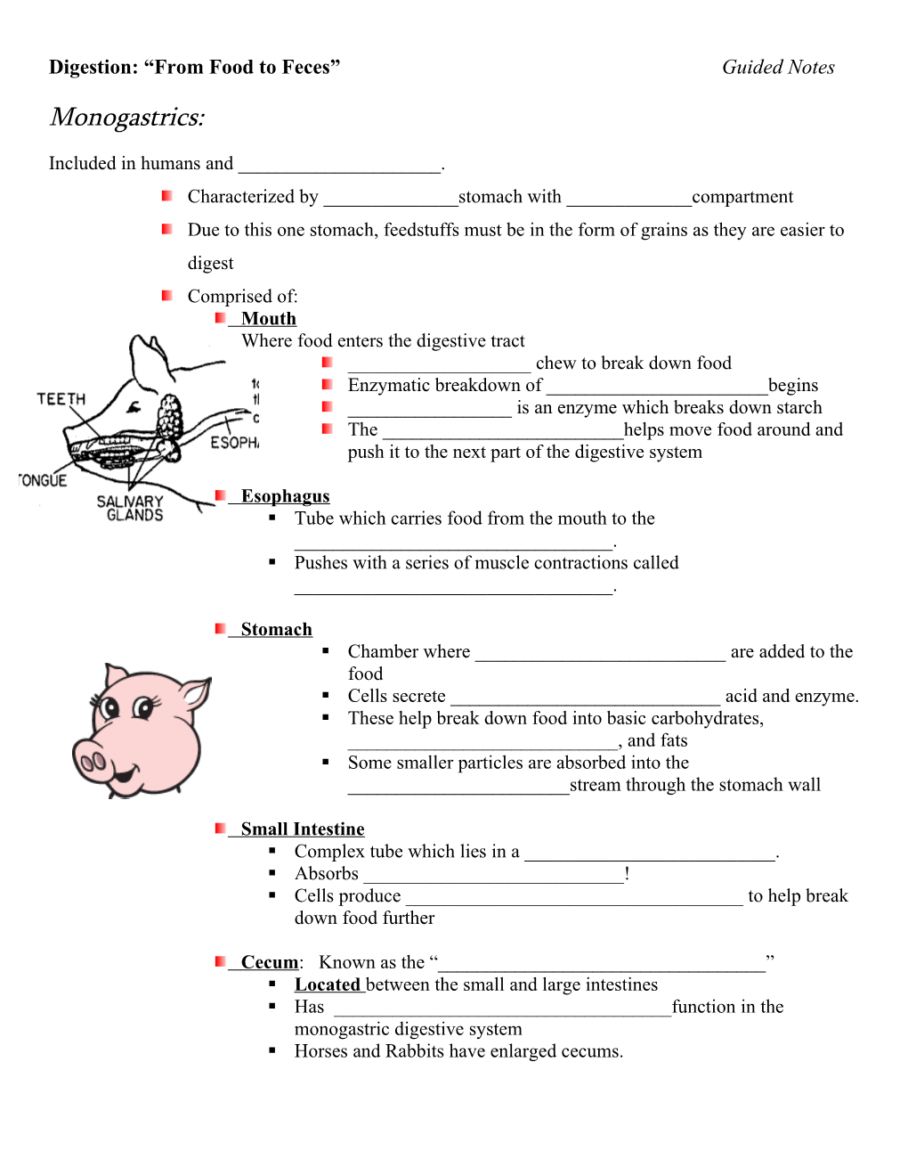 Digestion: from Food to Feces