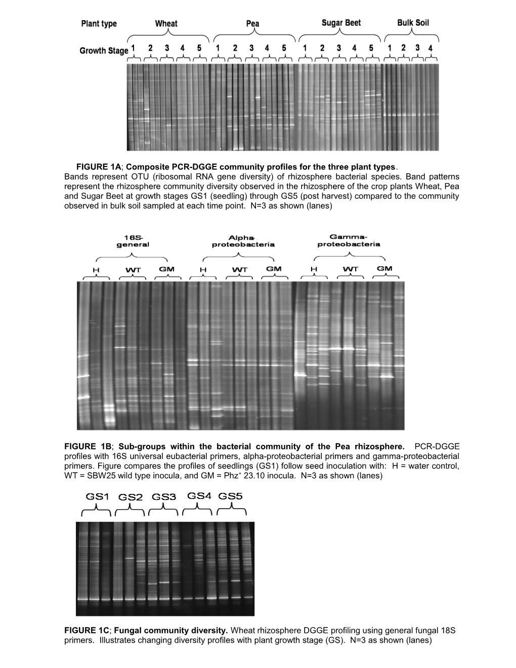 FIGURE 1A; Composite PCR-DGGE Community Profiles for the Three Plant Types