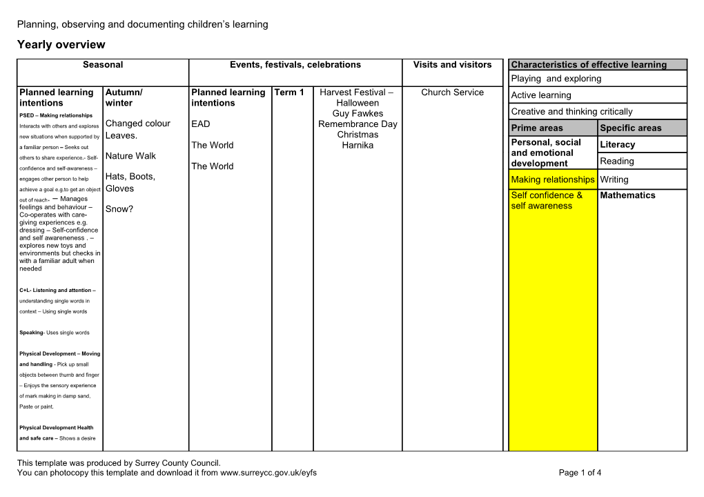 Planning, Observing and Documenting Children S Learning